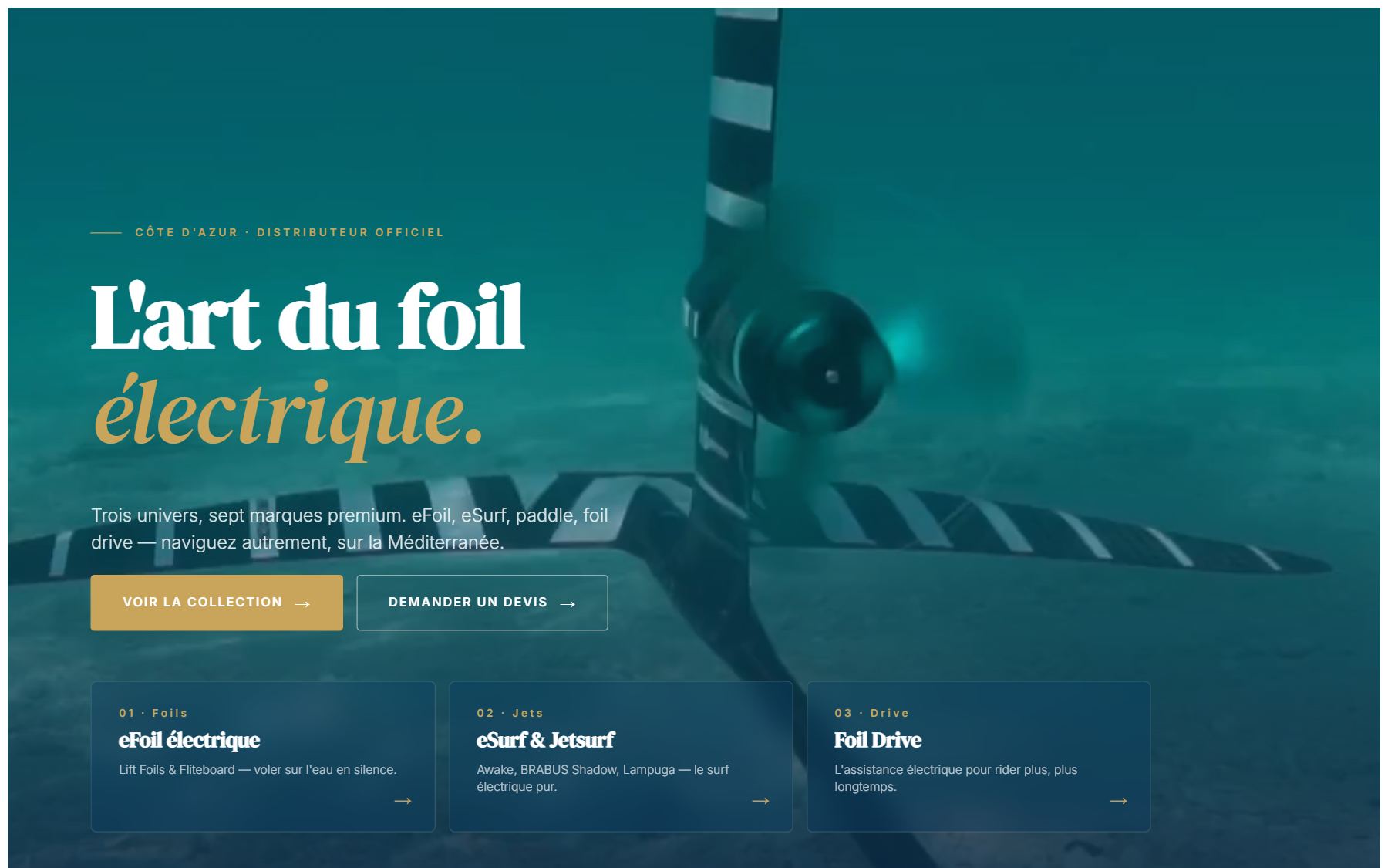 Une des pistes d'accueil explorées : fond sous-marin, titre « L'art du foil électrique » et trois univers eFoil, eSurf, Foil Drive